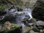 SX20814 Conwy Falls, in Fairy Glen near Betws-y-Coed, Snowdonia.jpg